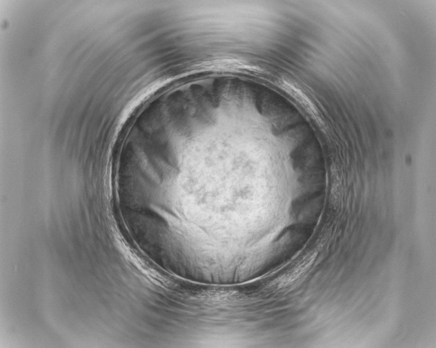 X0000087030939200705071531