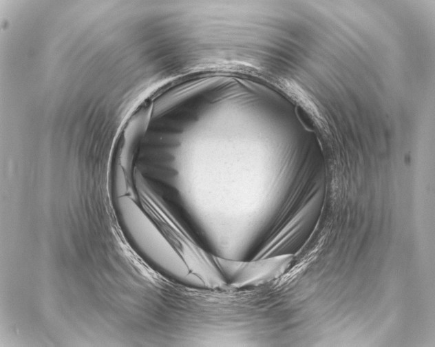 X0000087030940200705071531