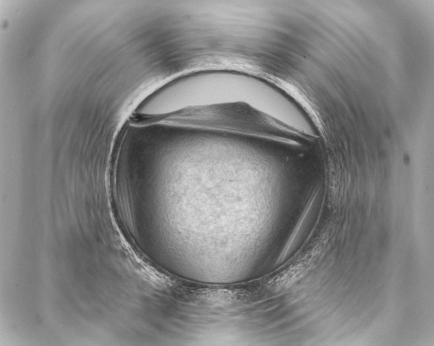 X0000087030943200705071531