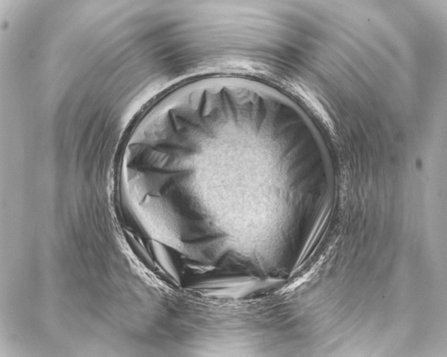 X0000087030944200705071531