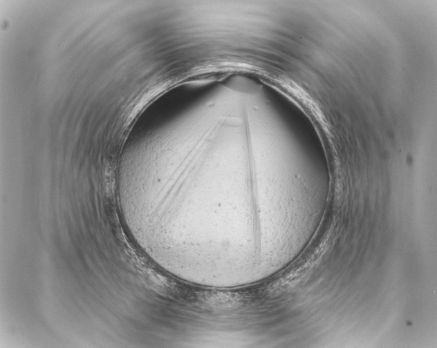 X0000087030945200705071531