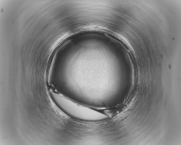 X0000087030946200705071531