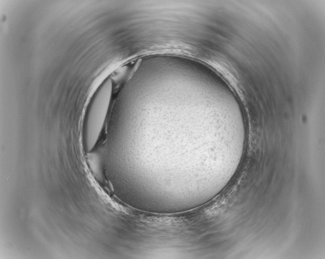 X0000087030949200705071531