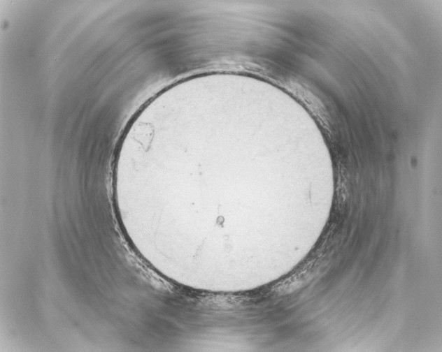 X0000087030950200705071531