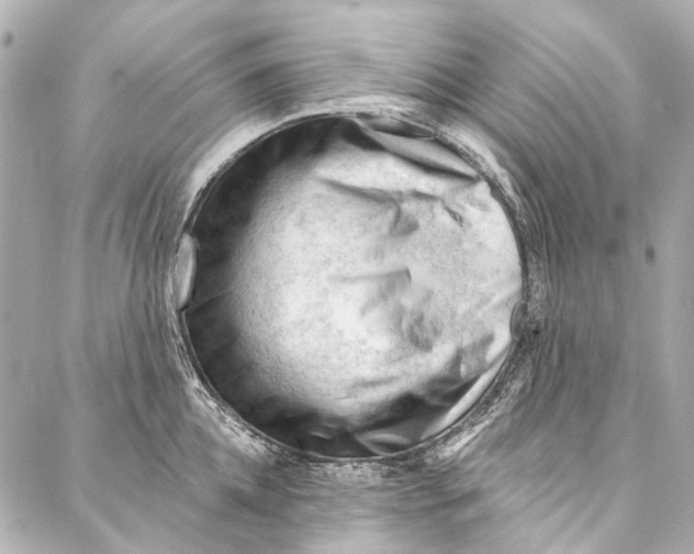 X0000087030952200705071531