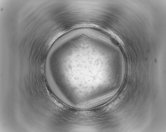 X0000087030953200705071531