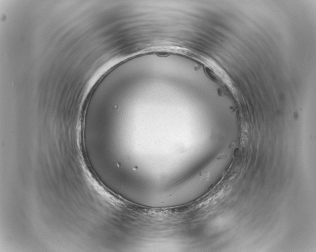 X0000087030955200705071531