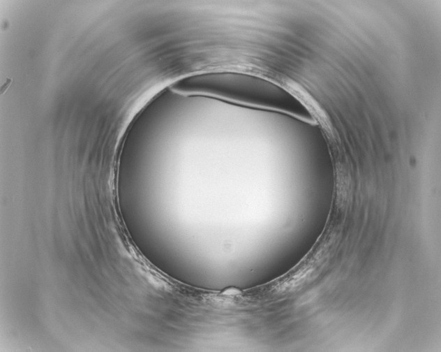 X0000087030956200705071531