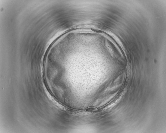 X0000087030957200705071531