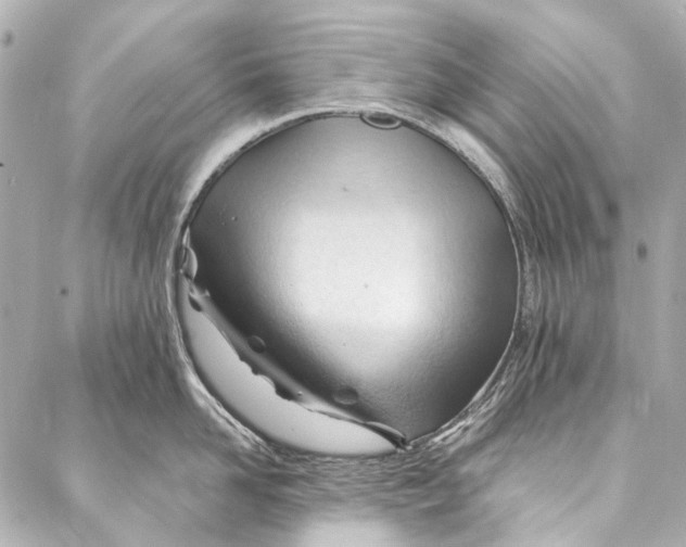 X0000087030958200705071531