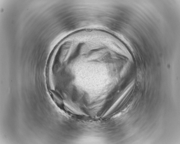 X0000087030959200705071531