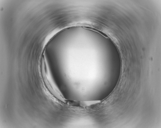 X0000087030960200705071531