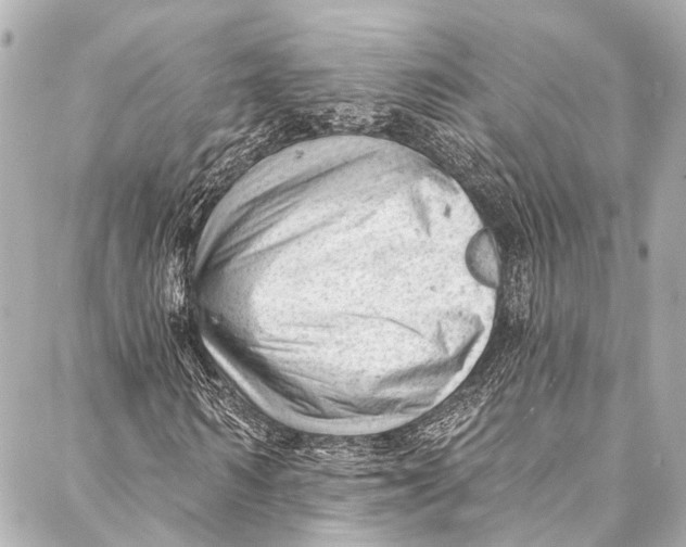 X0000087030962200705071530