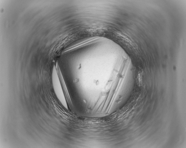 X0000087030963200705071530