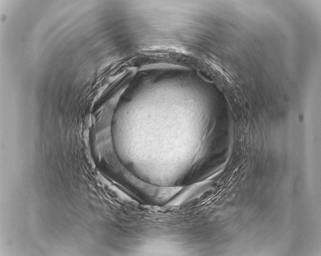 X0000087030965200705071530