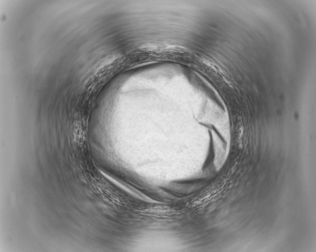 X0000087030966200705071530