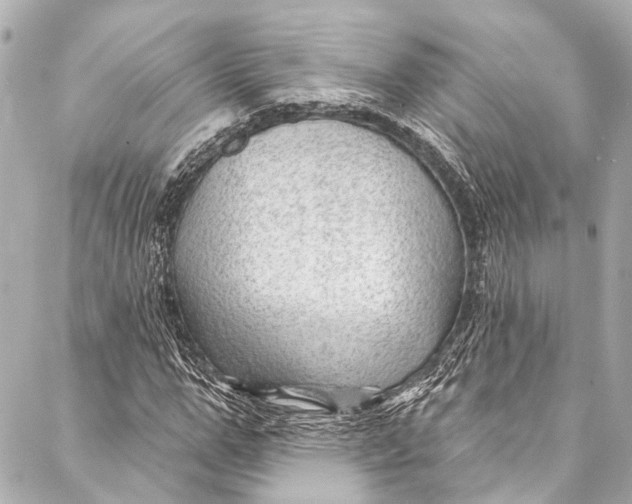 X0000087030967200705071530