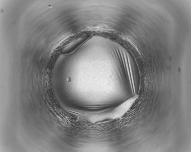 X0000087030968200705071530