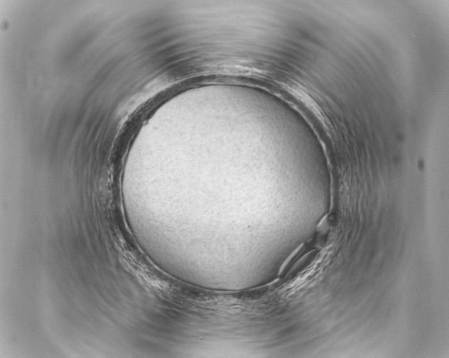 X0000087030971200705071530