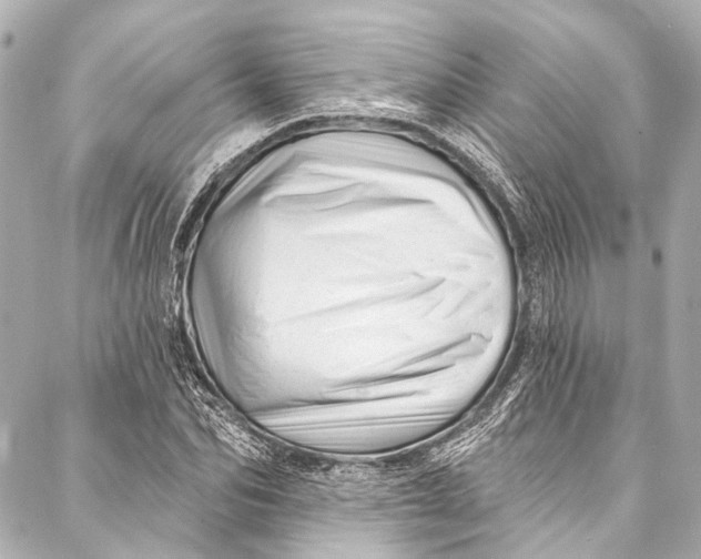 X0000087030974200705071530