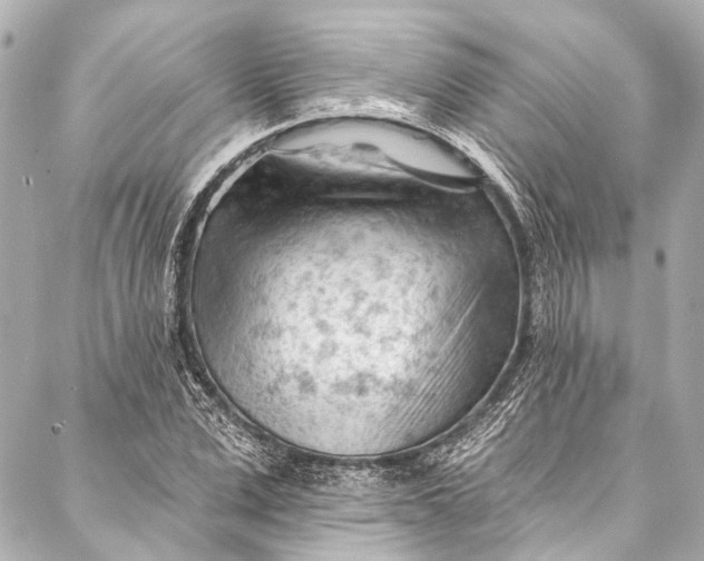 X0000087030975200705071530