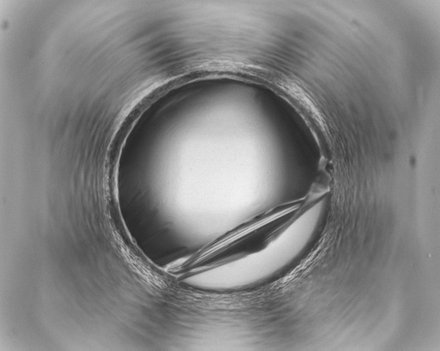 X0000087030976200705071530