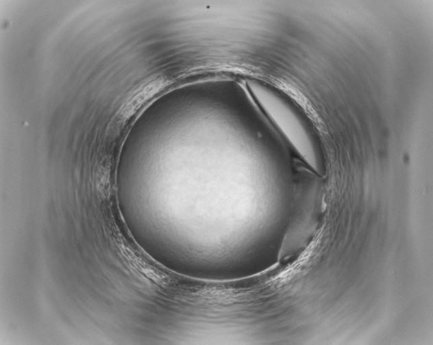 X0000087030977200705071530