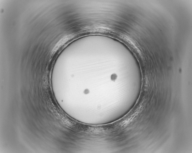 X0000087030978200705071530