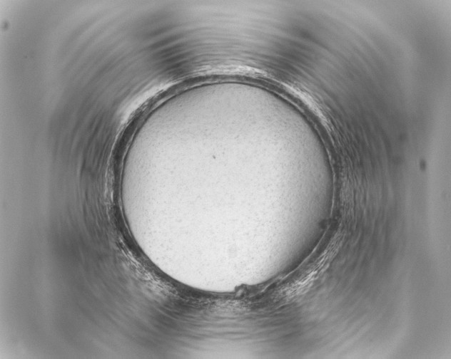 X0000087030979200705071530