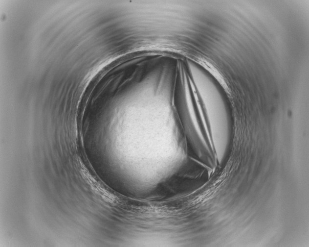 X0000087030980200705071530