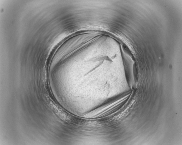 X0000087030982200705071530