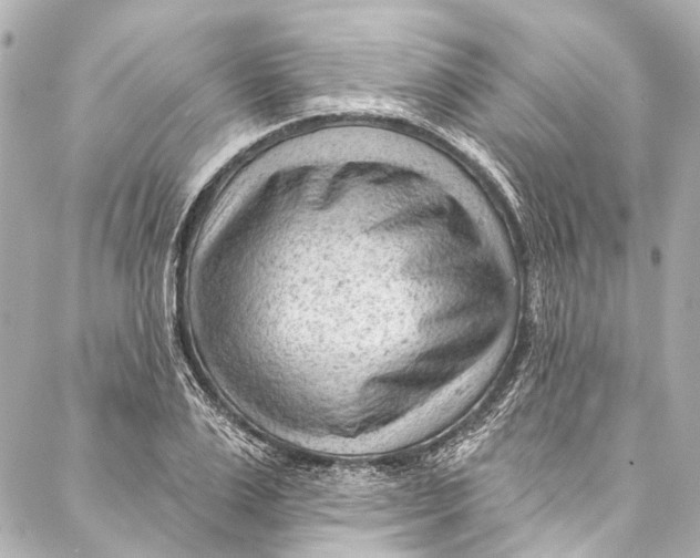 X0000087030983200705071530