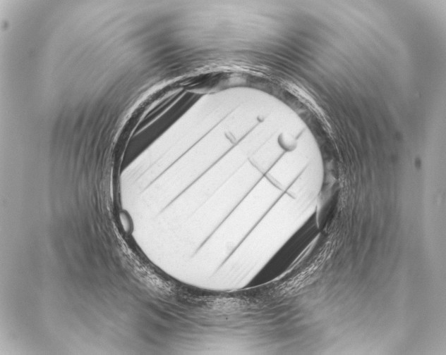 X0000087030984200705071530