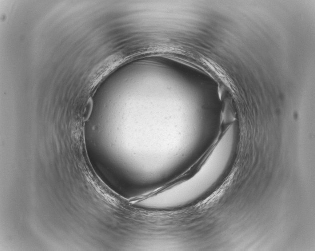 X0000087030985200705071530