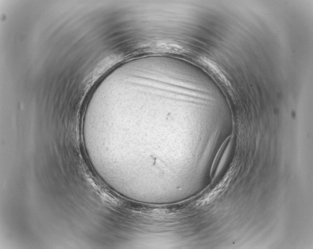 X0000087030986200705071530