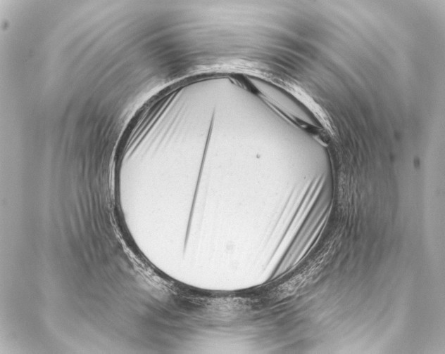 X0000087030988200705071530