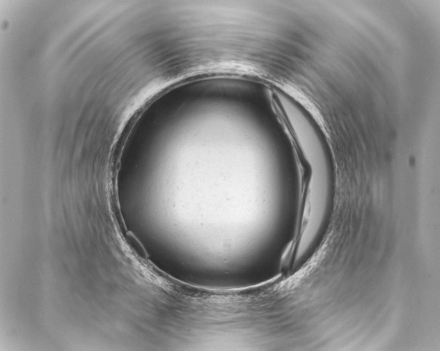 X0000087030989200705071530