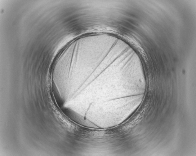 X0000087030990200705071530