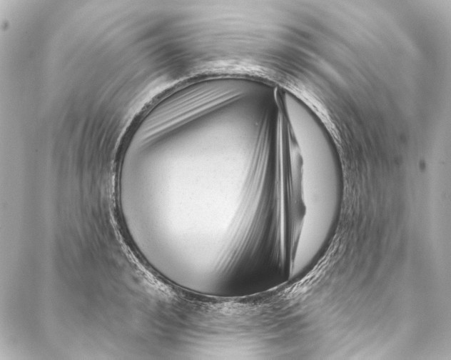 X0000087030992200705071530