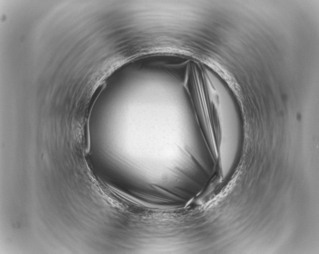 X0000087030993200705071530