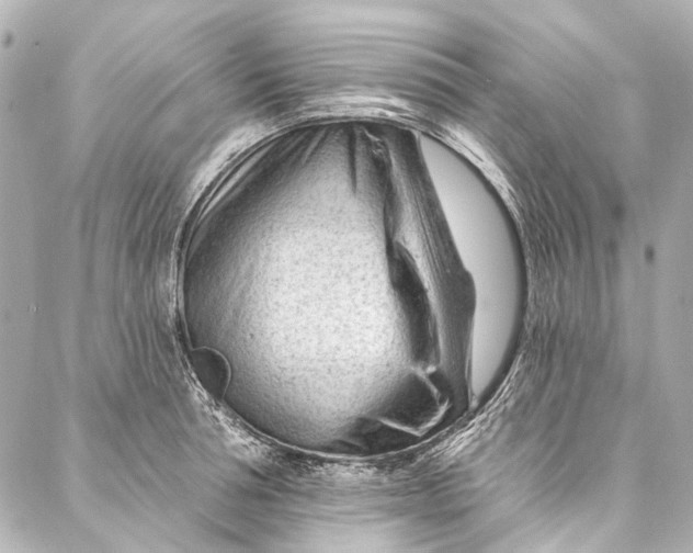 X0000087030994200705071530