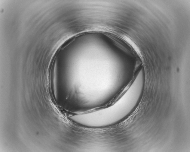 X0000087030996200705071530