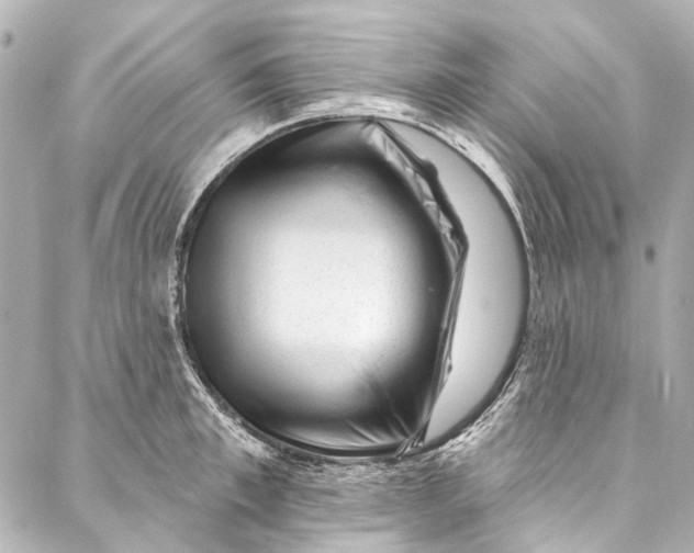 X0000087030997200705071530