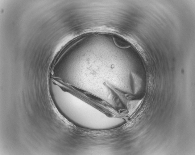 X0000087030998200705071530