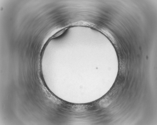 X0000087031000200705071530