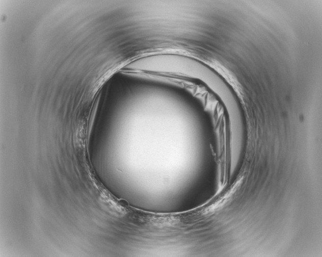 X0000087031001200705071530