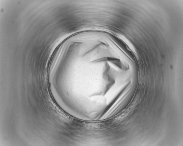 X0000087031004200705071530