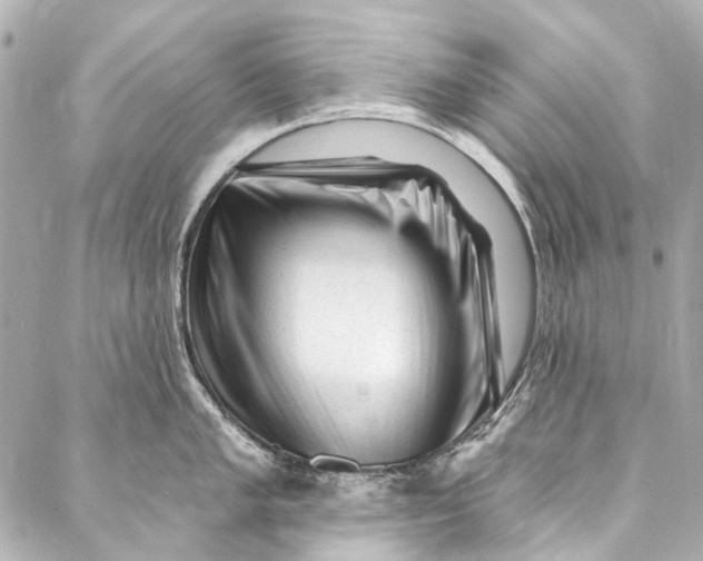 X0000087031005200705071530