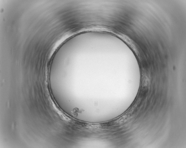 X0000087031006200705071530