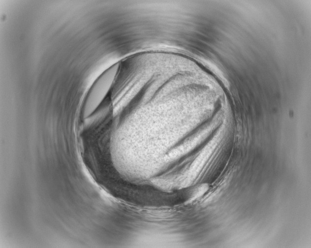 X0000087031007200705071530